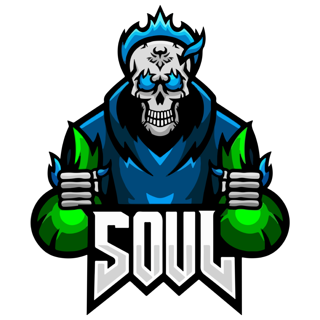 Team Soul storm into the final of Battlegrounds Mobile India Pro Series