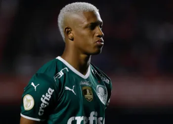 Danilo Palmeiras