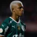 Danilo Palmeiras