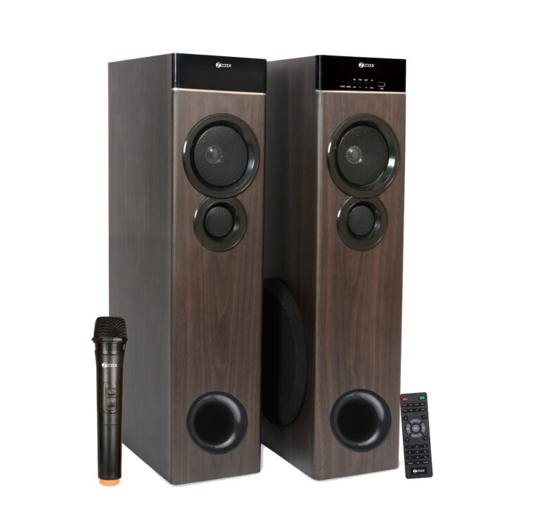 ZOOOK begins the New Year with a bang, unveiling Twin Barrel 120 W dual tower speaker