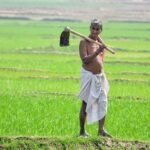 How do I apply for PM Kisan and Check Status Easily in 2024?