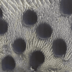 Unusual sand dunes circles were captured by NASA on Mars