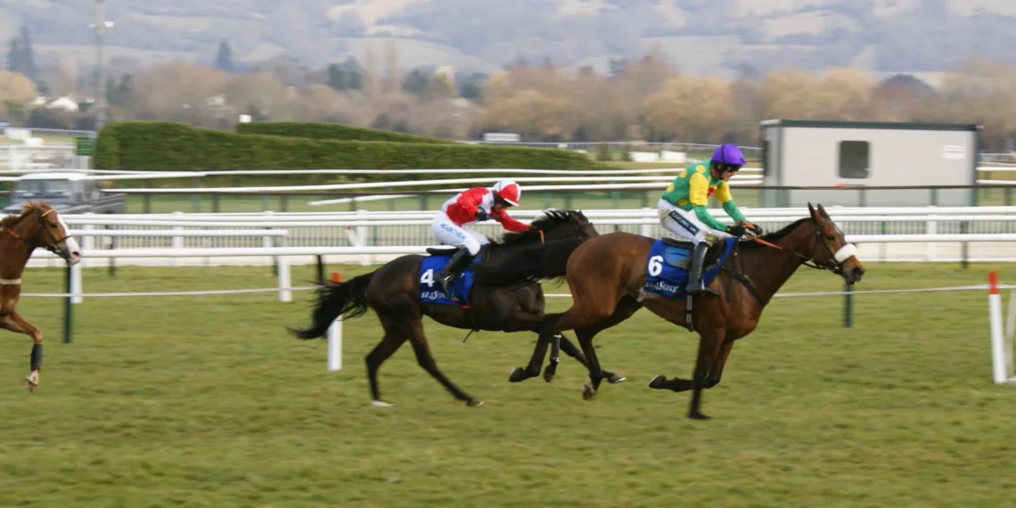 The Cheltenham Festival's Top Four Races