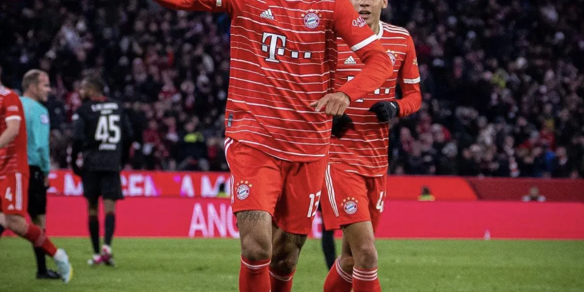 Eric Maxim Choupo-Moting