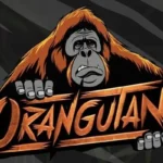 Orangutan Gaming Wins Valorant Challengers League South Asia: Split 1