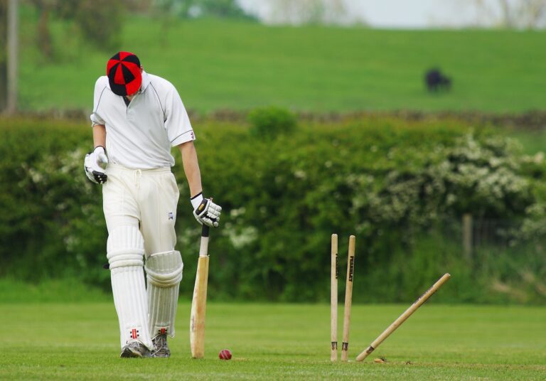cricket prediction