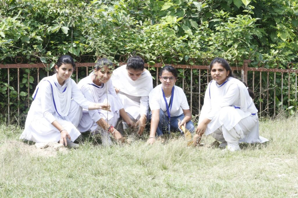 world forestry day1 World Forestry Day is celebrated on 21st March: Grow-Trees plant thousands of trees in Katra near the Vaishno Devi shrine