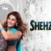 Shehzada is all set to release on Netflix