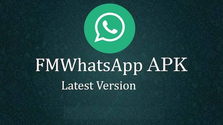 FMWhatsApp latest APK yomitech.com FM WhatsApp APK Download: Latest Version: May 2024