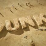 Dunki Official Release Date, Cast, Plot, Trailer, and More in 2024