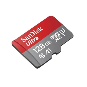 sandiskclass10