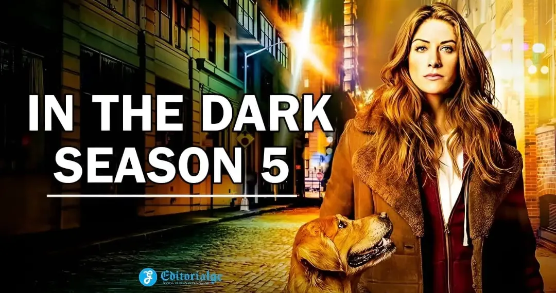 via-https://editorialge.com/in-the-dark-season-5/