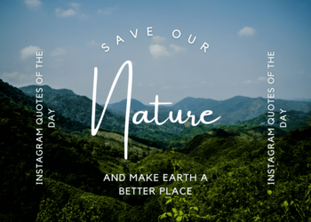 via- https://www.outsidenomad.com/nature-quotes-for-instagram/