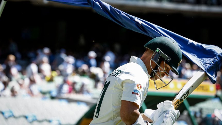 David Warner's Retirement