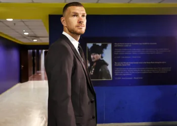 Edin Dzeko Fenerbahce transfer