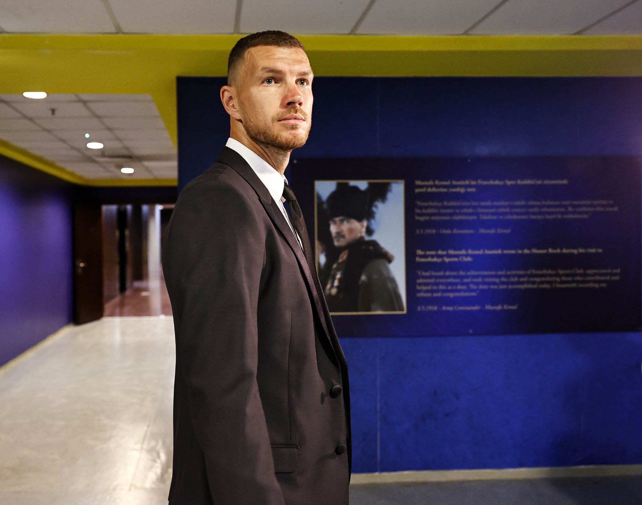 Edin Dzeko Fenerbahce transfer