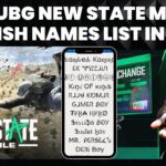 Get PUBG New State Mobile Stylish Names list in 2024