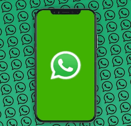 image 170 WhatsApp Introduces HD Picture Feature, Enhancing Photo Quality for Users