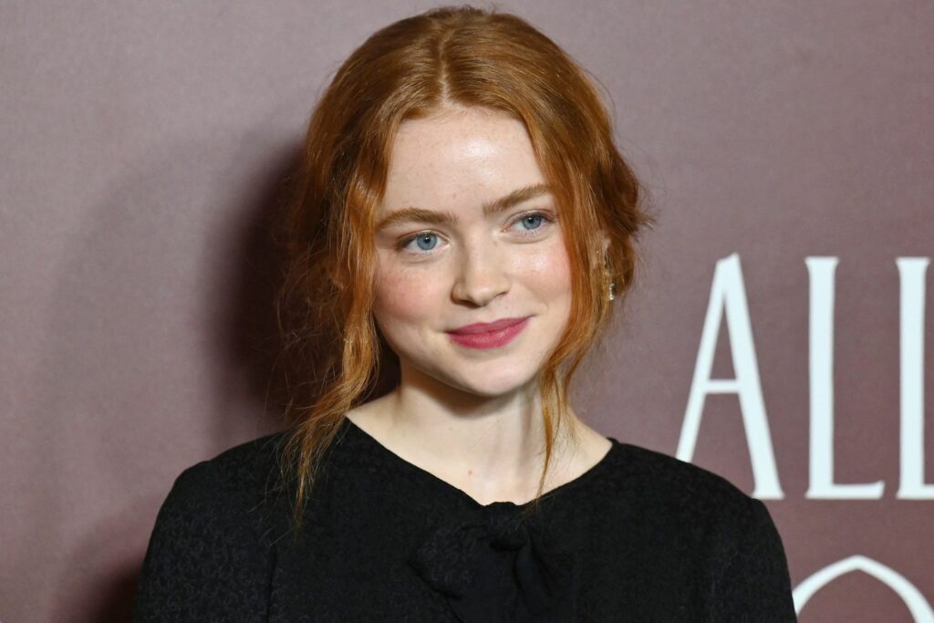 saad Spectacular Sadie Sink Age, Height, Bio, Career, Net Worth, and Family in 2024