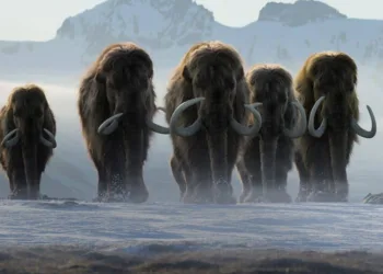 Life On Our Earth Release Date