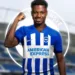 Ansu Fati Sign for Brighton, Image via Twitter