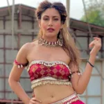 Bigg Boss 17 Contestants: Which two Celebrities have rejected Salman Khan’s Show?
