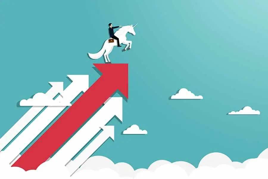 The Top 10 Unicorn Startups in India