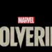 marvel’s wolverine