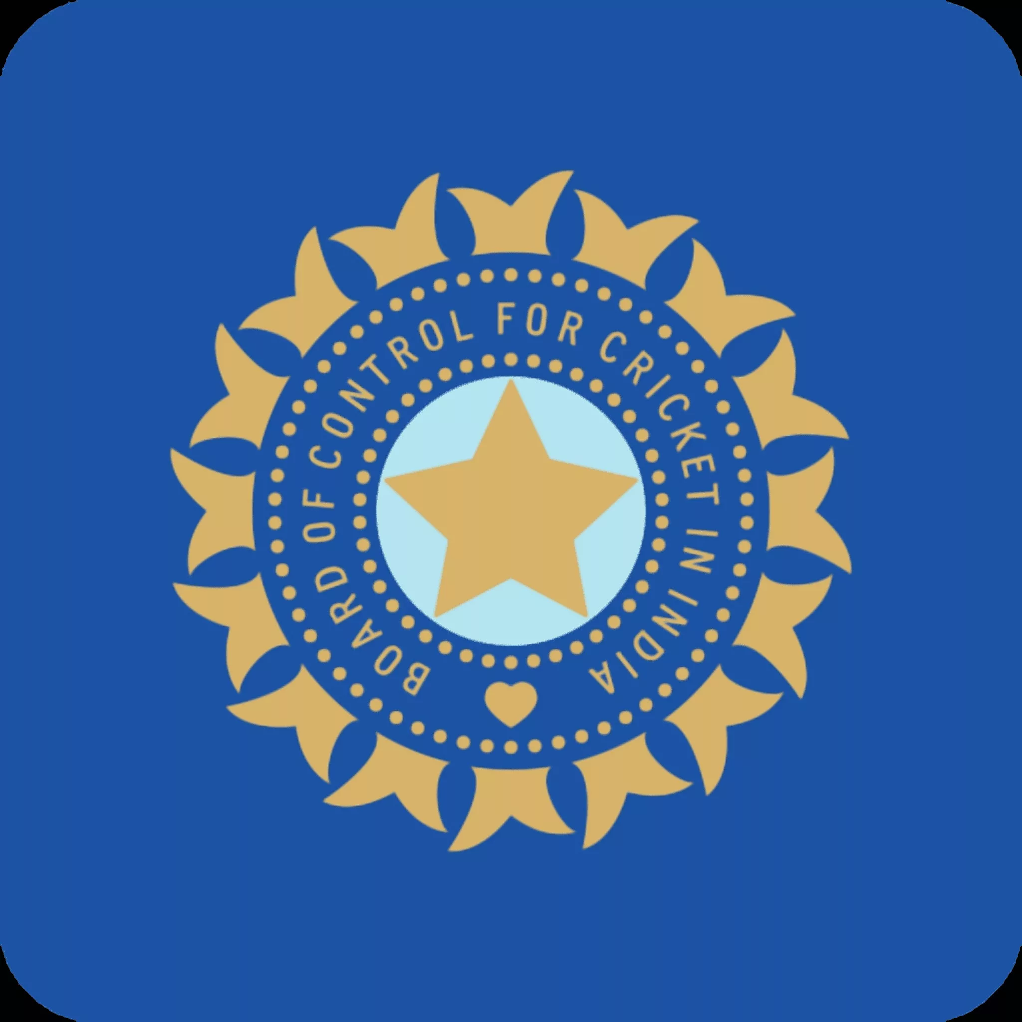 BCCI Logo, Image via Pay Store