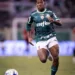 Endrick for Palmeiras, Image Credits - Twitter