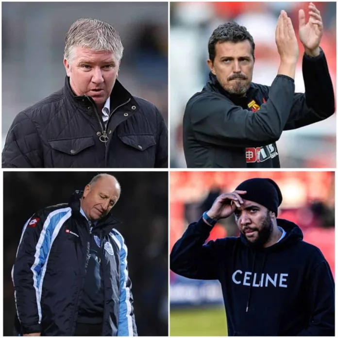 WhatsApp Image 2024-01-23 at 21.54.02_140cf907