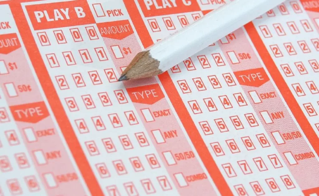 kj56 Kerala Lottery Result in Today: Check Out the Live Results on the Online Gambling