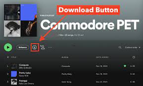 download 2024 02 08T170141.503 How do I download songs on Spotify as of April 29, 2024?