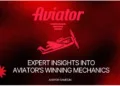 Expert Insights into Aviator's Winning Mechanics