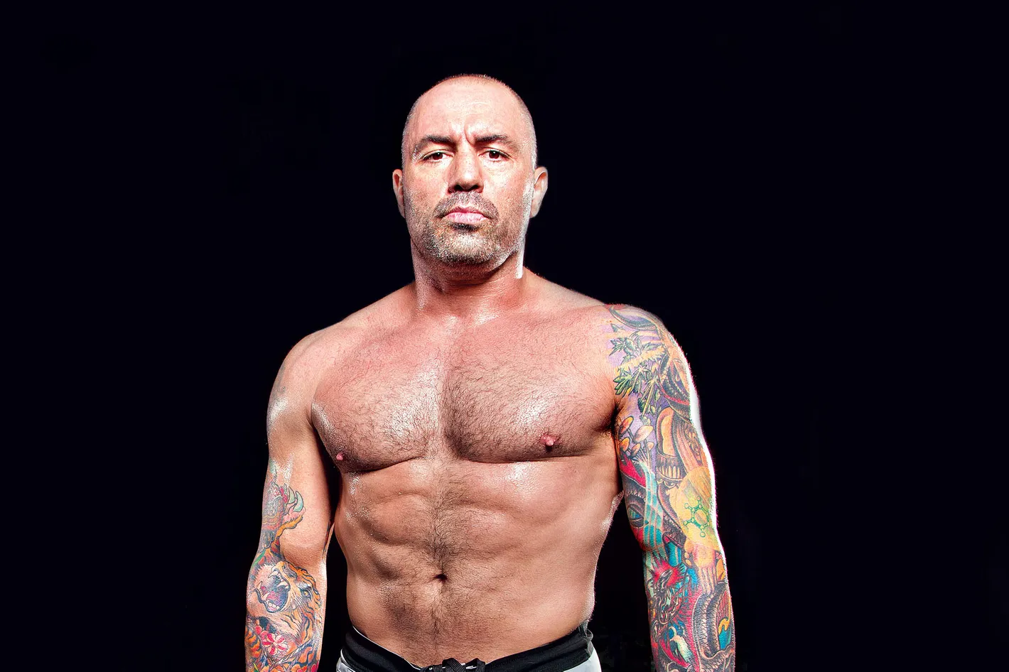 American Comedian Joe Rogan Net Worth, Career, Income, Relationship, and More