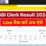 SBI Clerk Result: Get A Complete Update and Check Out the SBI Clerk Result for 2024