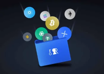 Crypto Wallet Nodes In Crypto: Why Do We Need Them? Crypto Payment