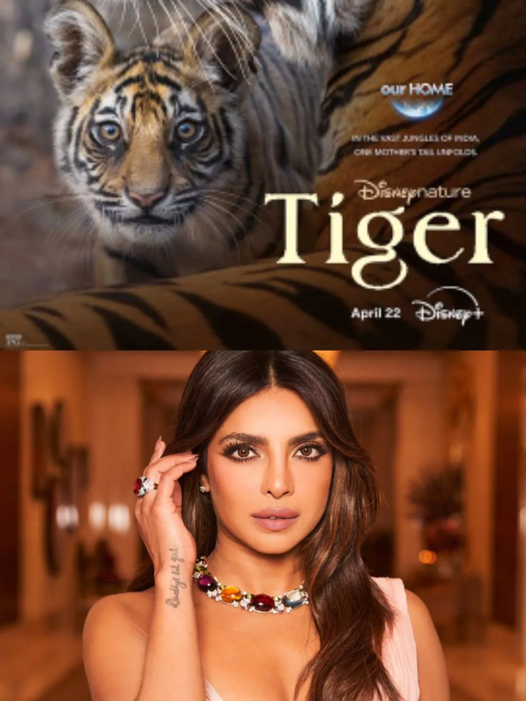 Tiger: Priyanka Chopra Jonas Reveals New Film with Release Date and Other Exciting Details