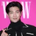 BTS' RM Displays Carefree Energy in Latest Music Video for 'Groin'