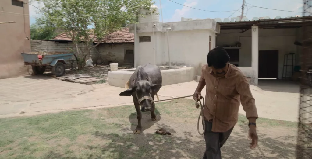 Scene from Panchyat Season 3 trailer Image Credits Prime Video India Panchayat Season 3 Trailer: Bidhayak Ji Catches On The Election Fever As Well Streaming On Prime Video