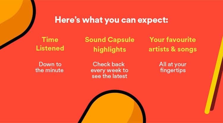 Your Sound Capsule on Spotify is now available for users in India