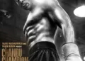 Chandu Champion Box Office Collection Soars: Kartik Aaryan Shines in Inspirational Biopic