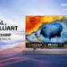 Toshiba Unveils C350NP Smart TV: Elevating Home Entertainment with Cutting-Edge Technology