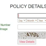 Understanding TSGLI Bond Status: A Comprehensive Guide in 2024