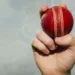 What is the Size and Weight of a Cricket Ball?