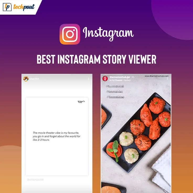 The Best Instagram Story Viewer in 2024