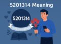 5201314 meaning