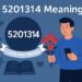 5201314 meaning