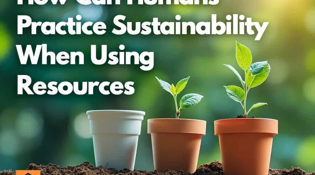 How Can Humans Practice Sustainability When Using Resources?
