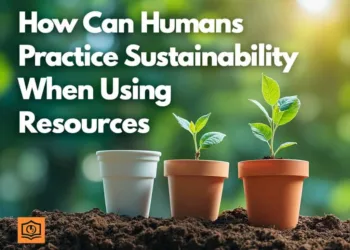 How Can Humans Practice Sustainability When Using Resources?